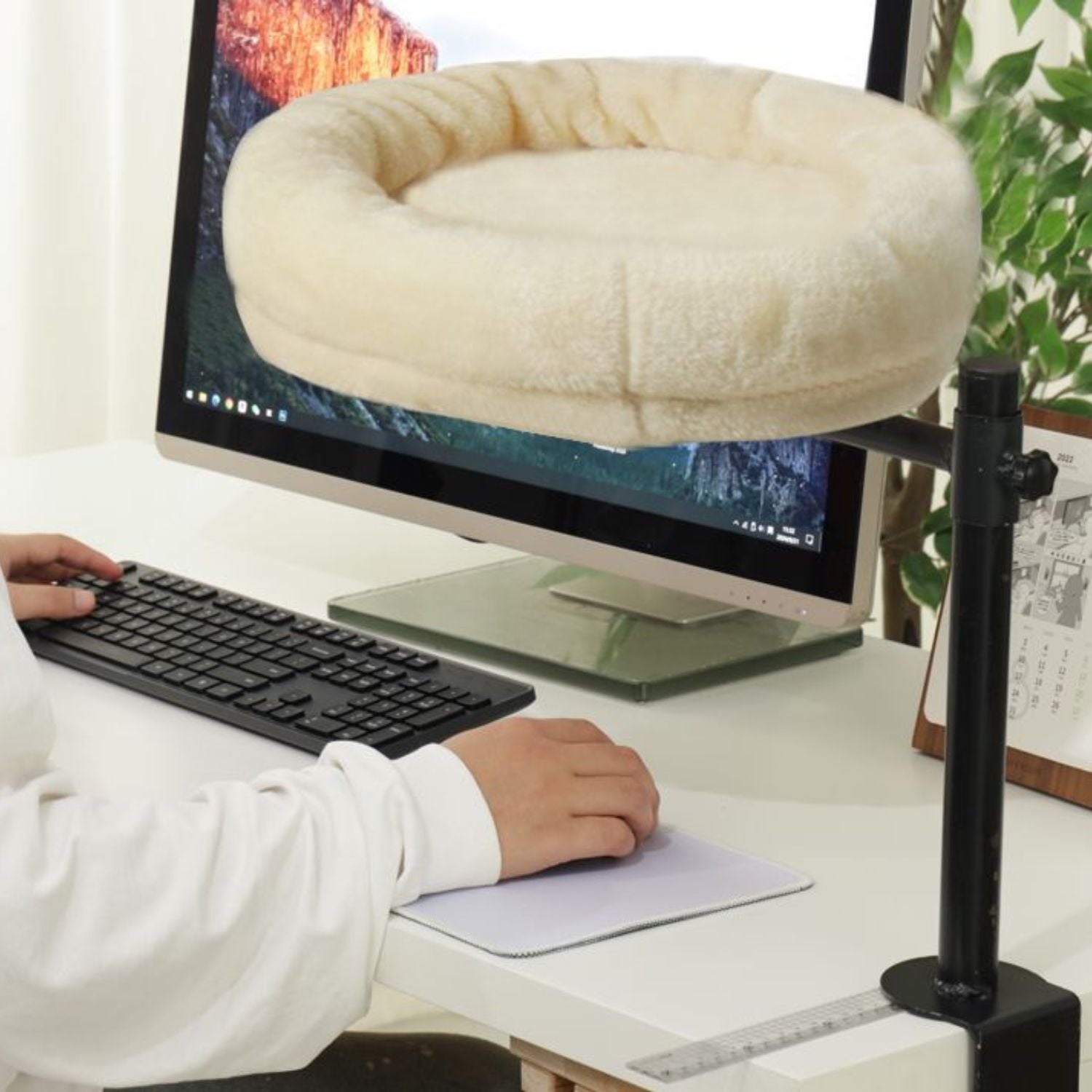 Klimboom Kat Meubel creme kussen op bureau